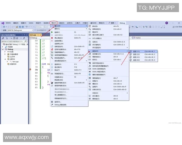 深入浅出掌握vs自拉放大技巧的全面教程与实用案例分析